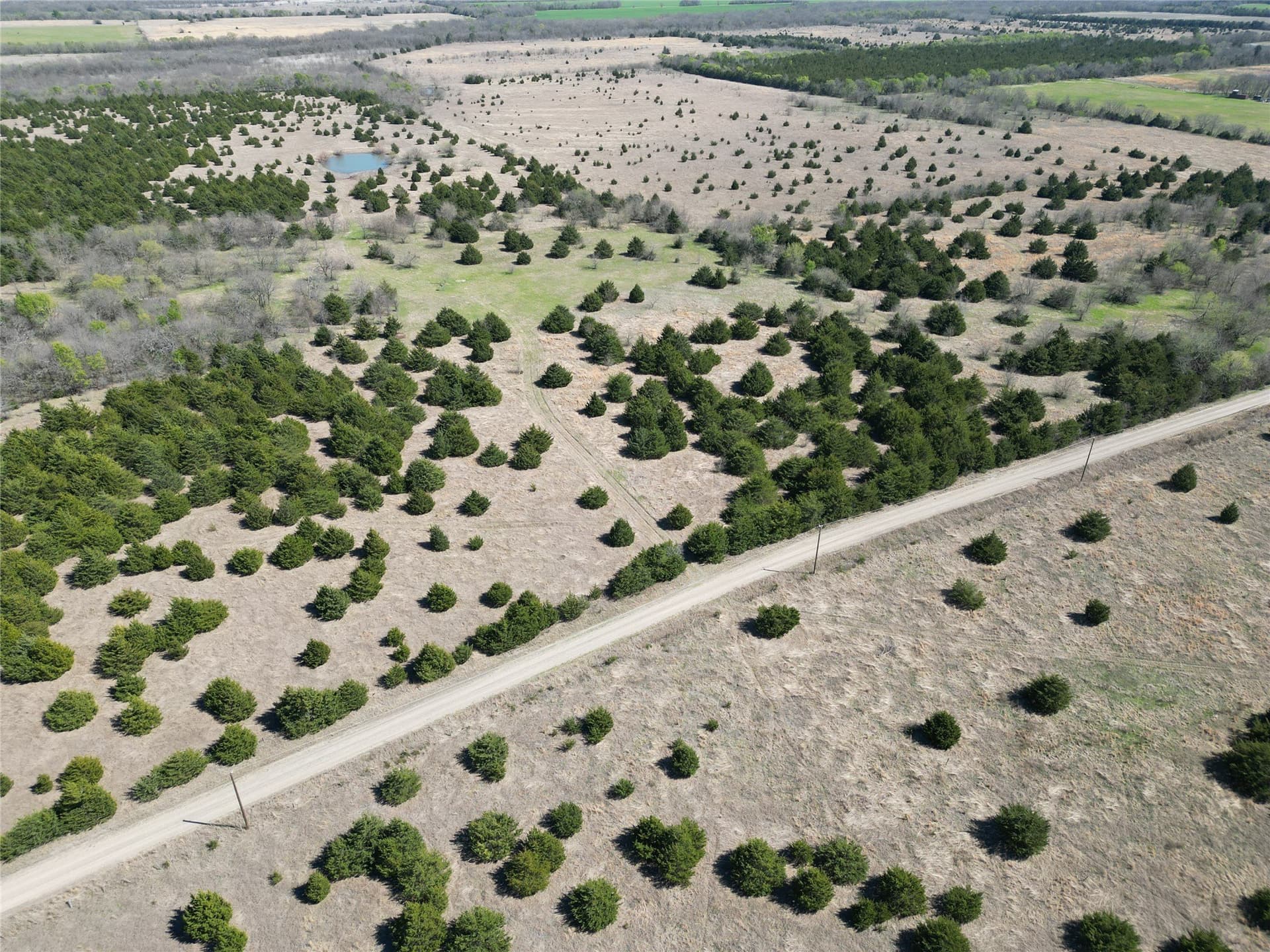 57.5 acres in Fannin County - photo 6