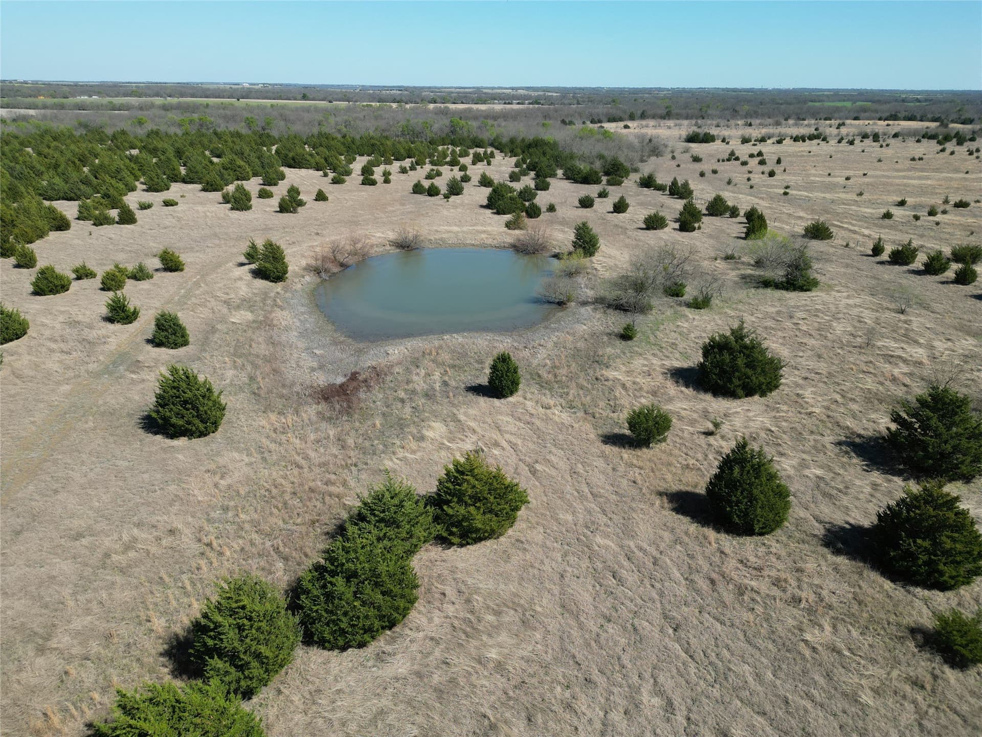 57.5 acres in Fannin County - photo 11