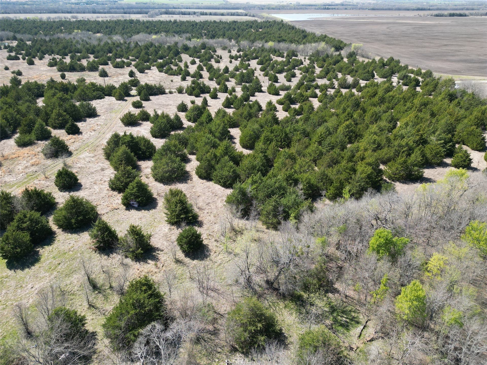 57.5 acres in Fannin County - photo 14