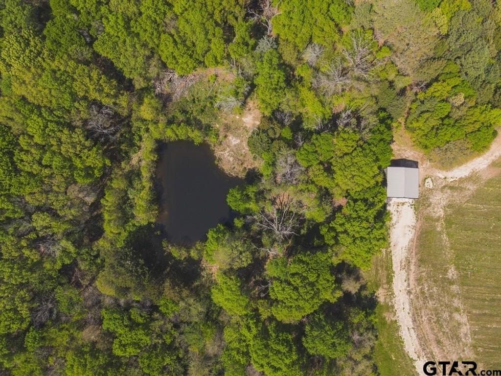 56.08 acres in Van Zandt County - photo 27
