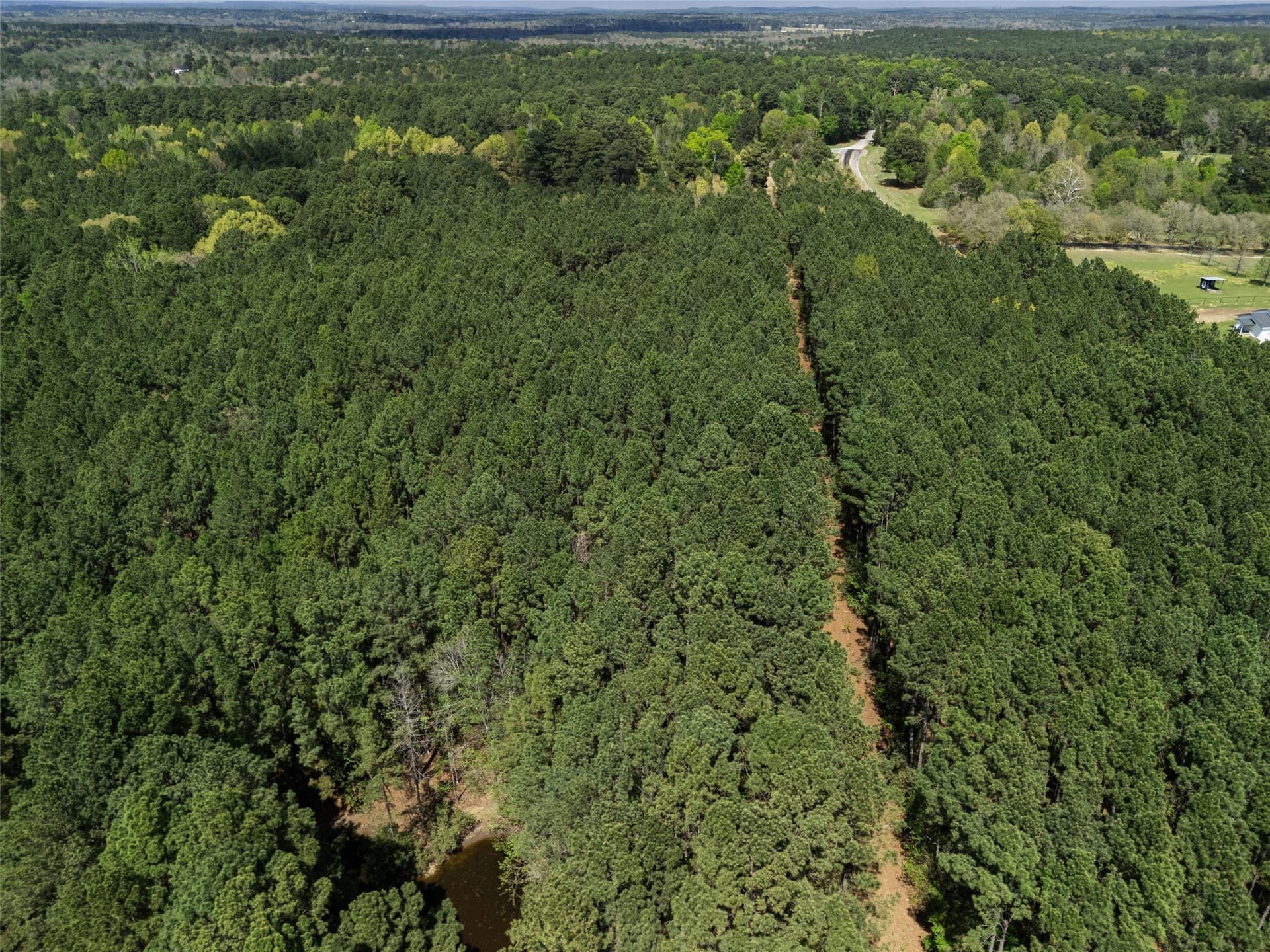 59.75 acres in Gregg County - photo 14