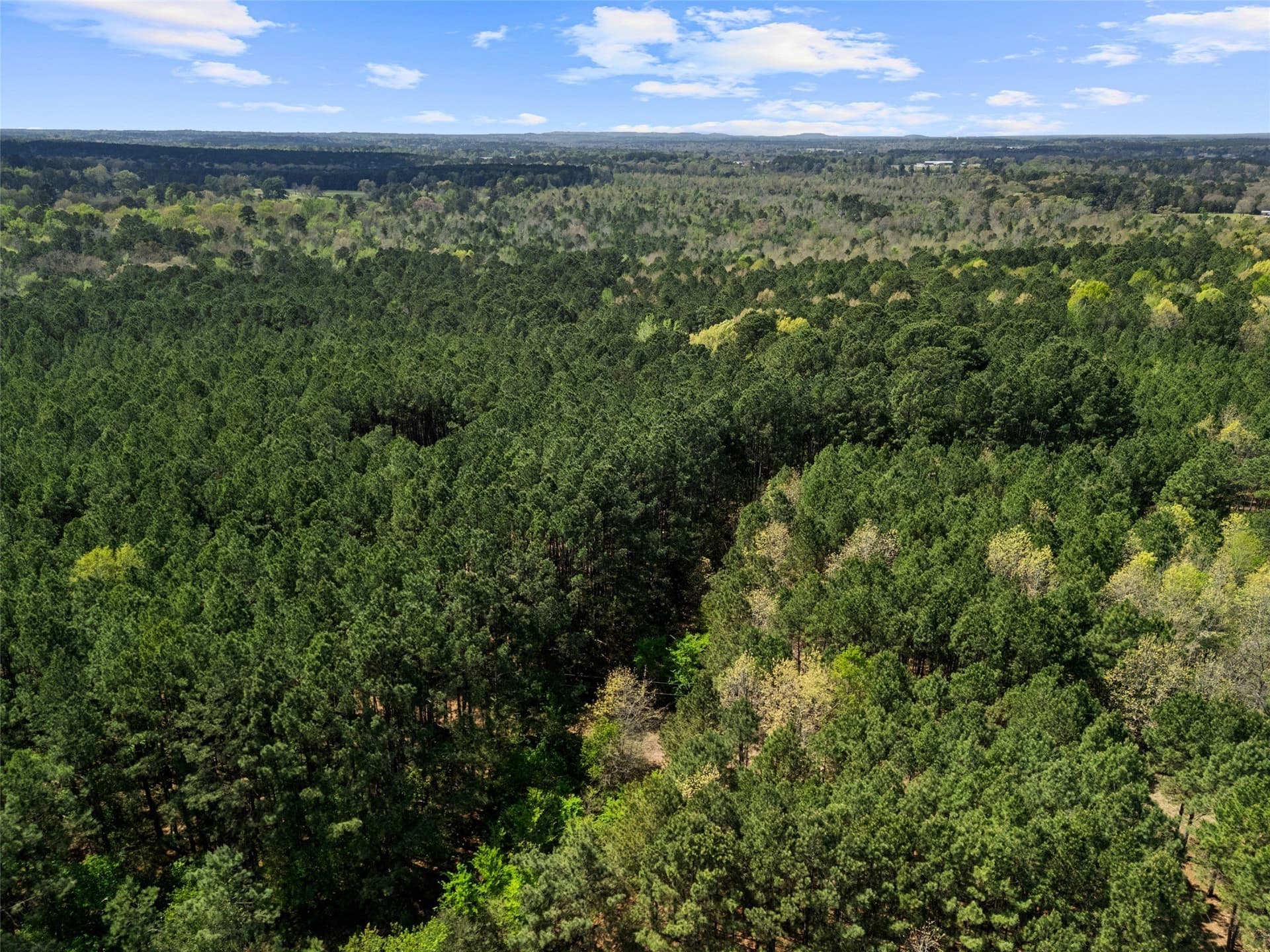 59.75 acres in Gregg County - photo 20