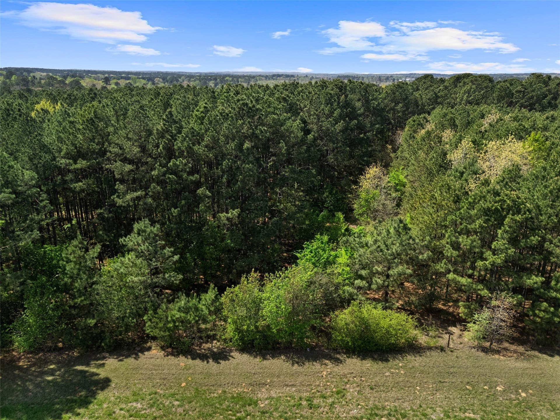 59.75 acres in Gregg County gallery image 4