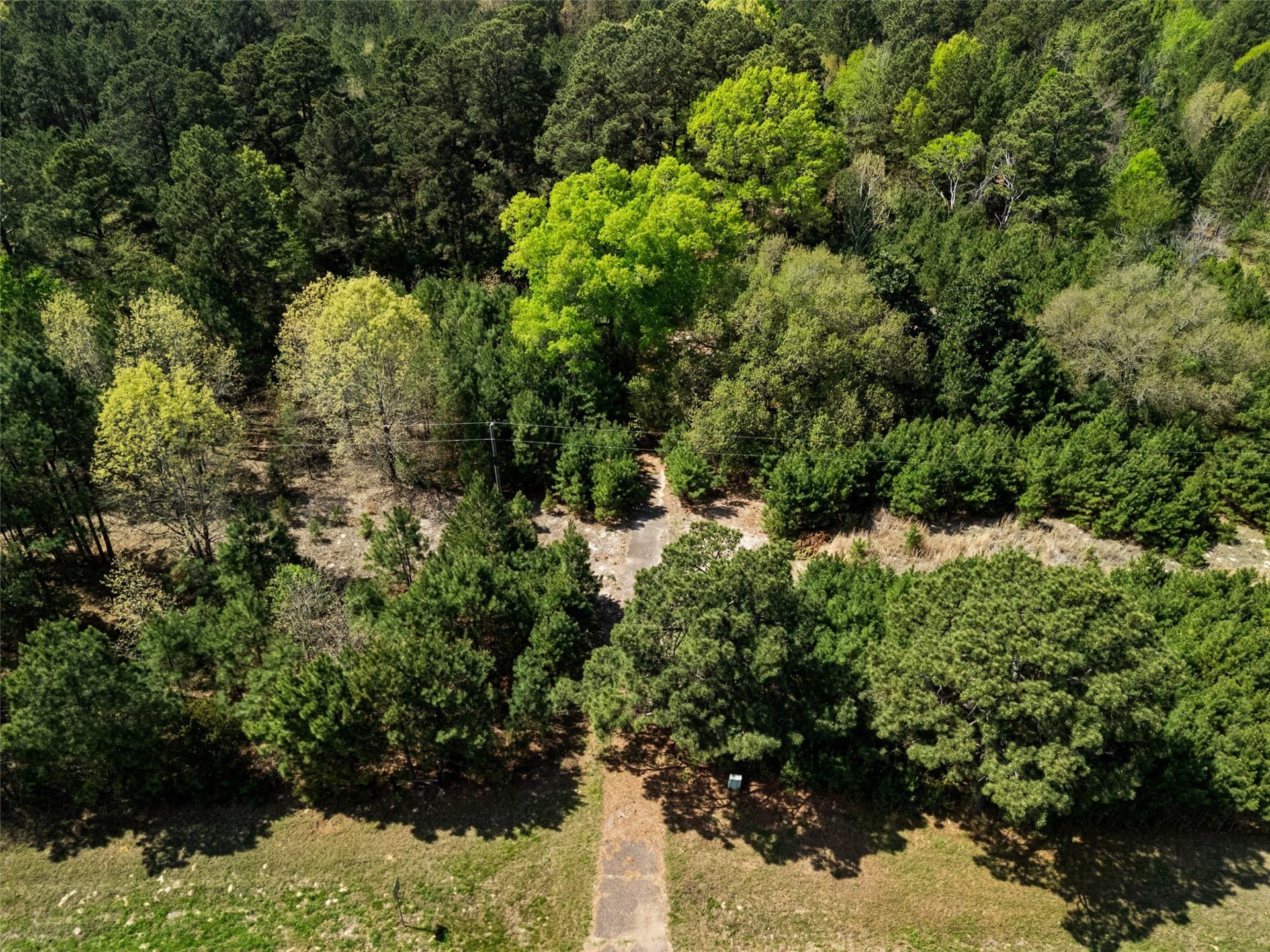 59.75 acres in Gregg County - photo 21