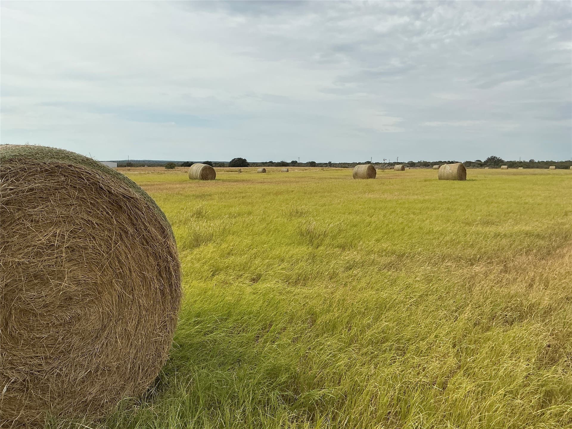 61.64 acres in San Saba County gallery image 2