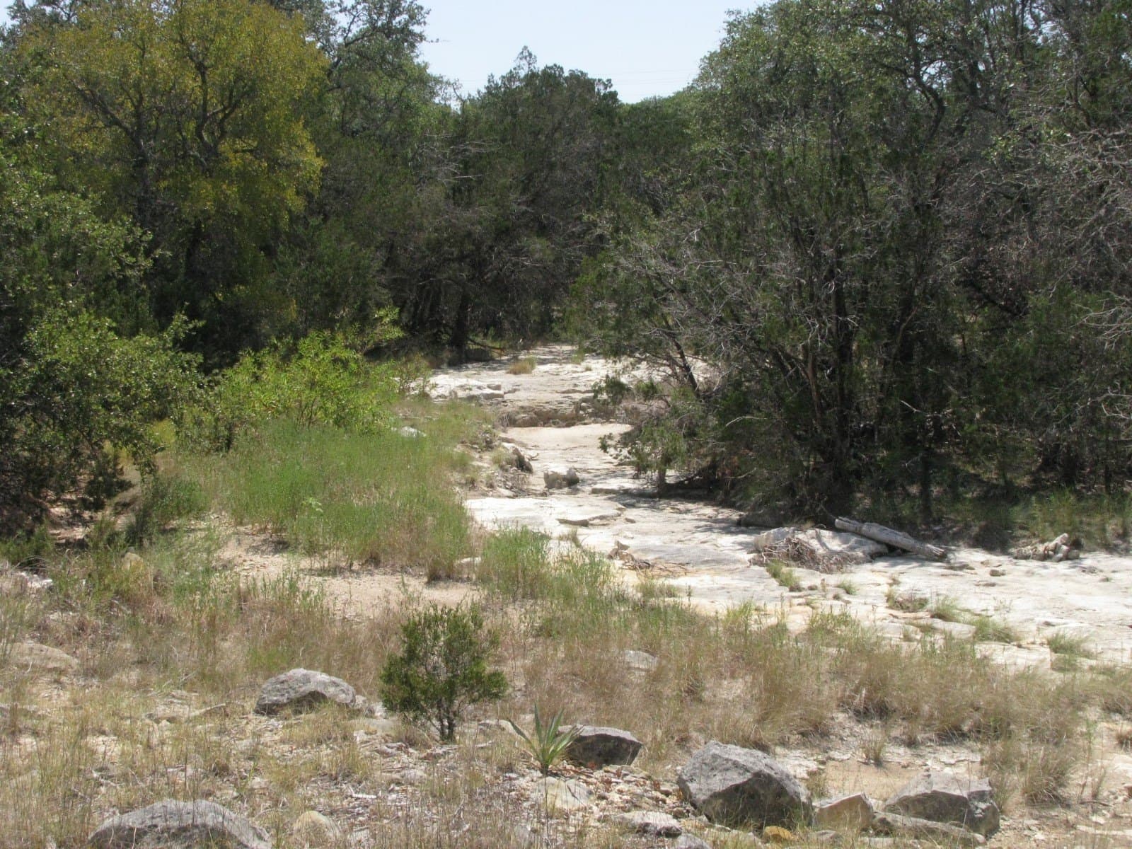 10.06 acres in Coryell County - photo 24