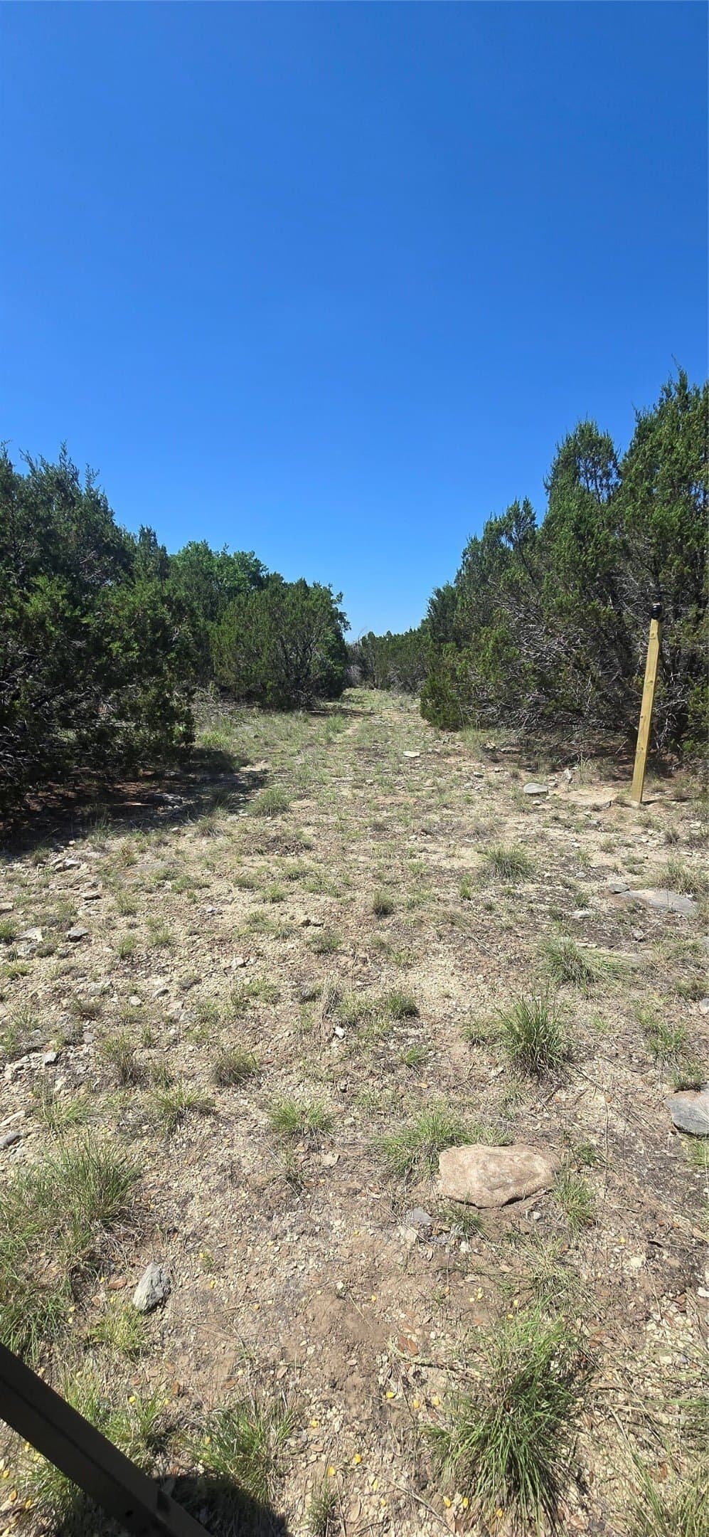 10.06 acres in Coryell County - photo 14