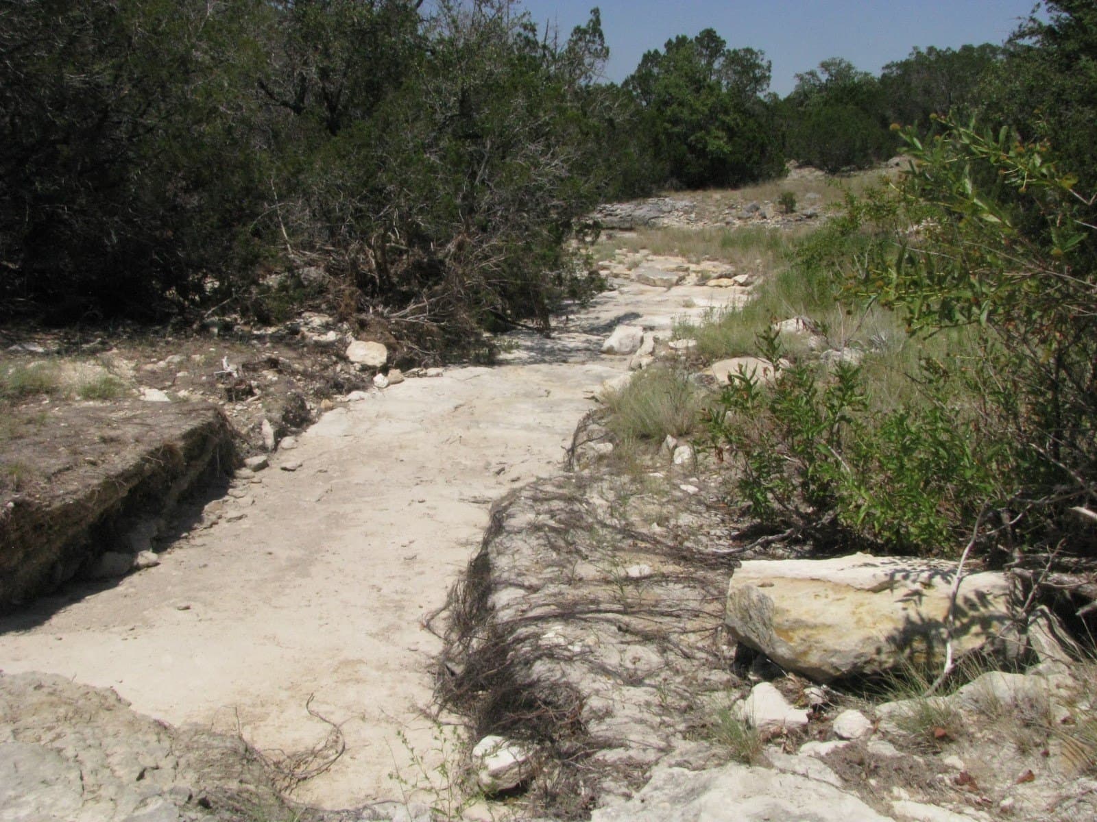 10.06 acres in Coryell County - photo 6