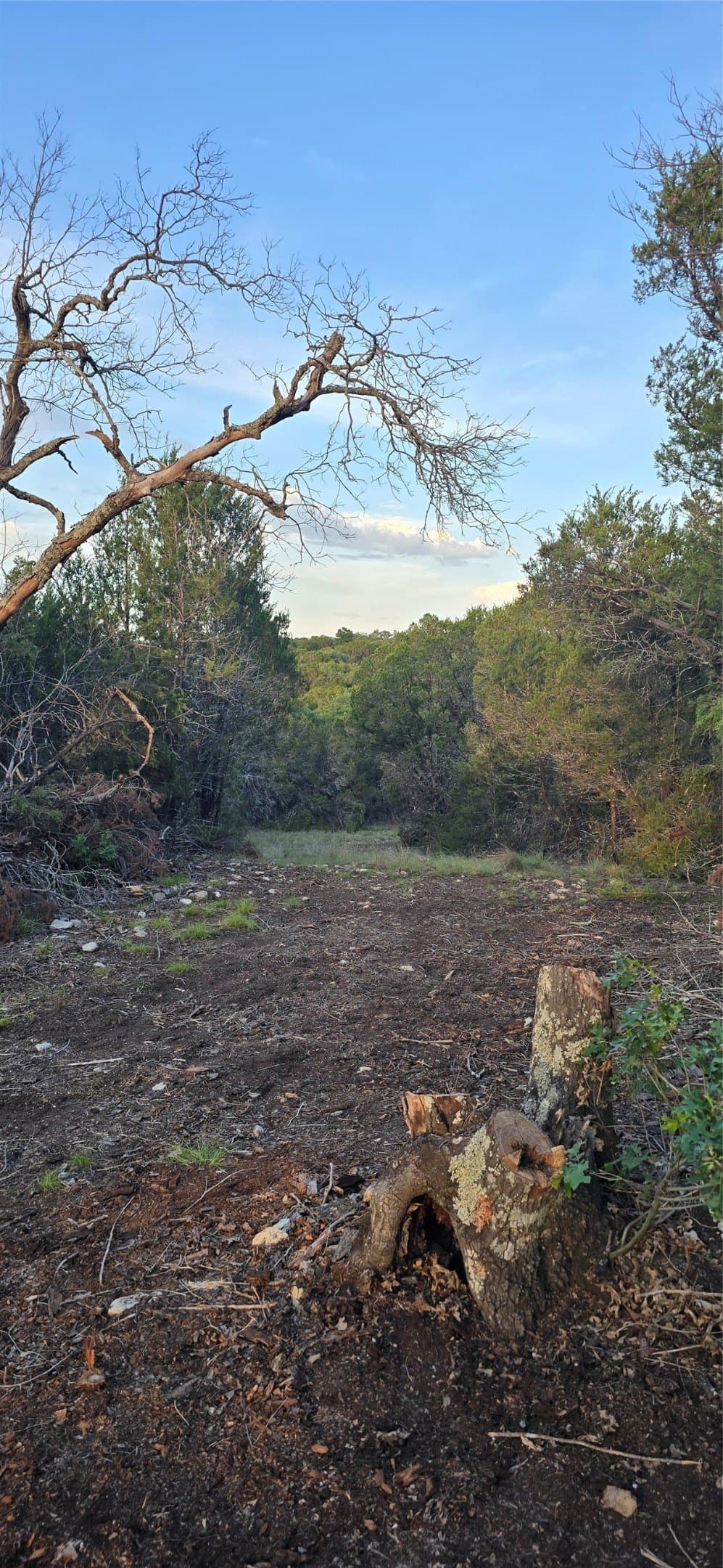 10.06 acres in Coryell County - photo 15