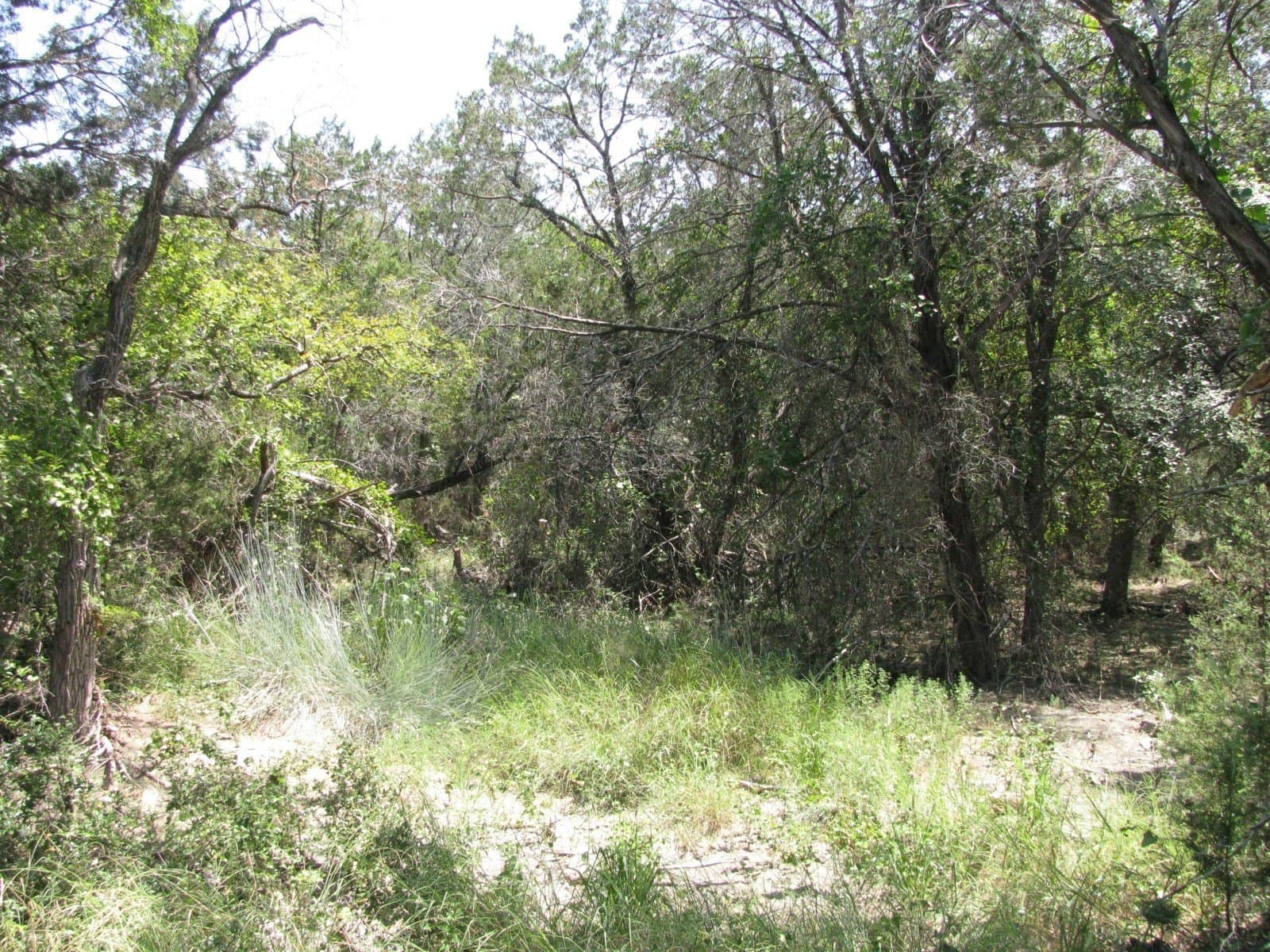 10.06 acres in Coryell County - photo 8