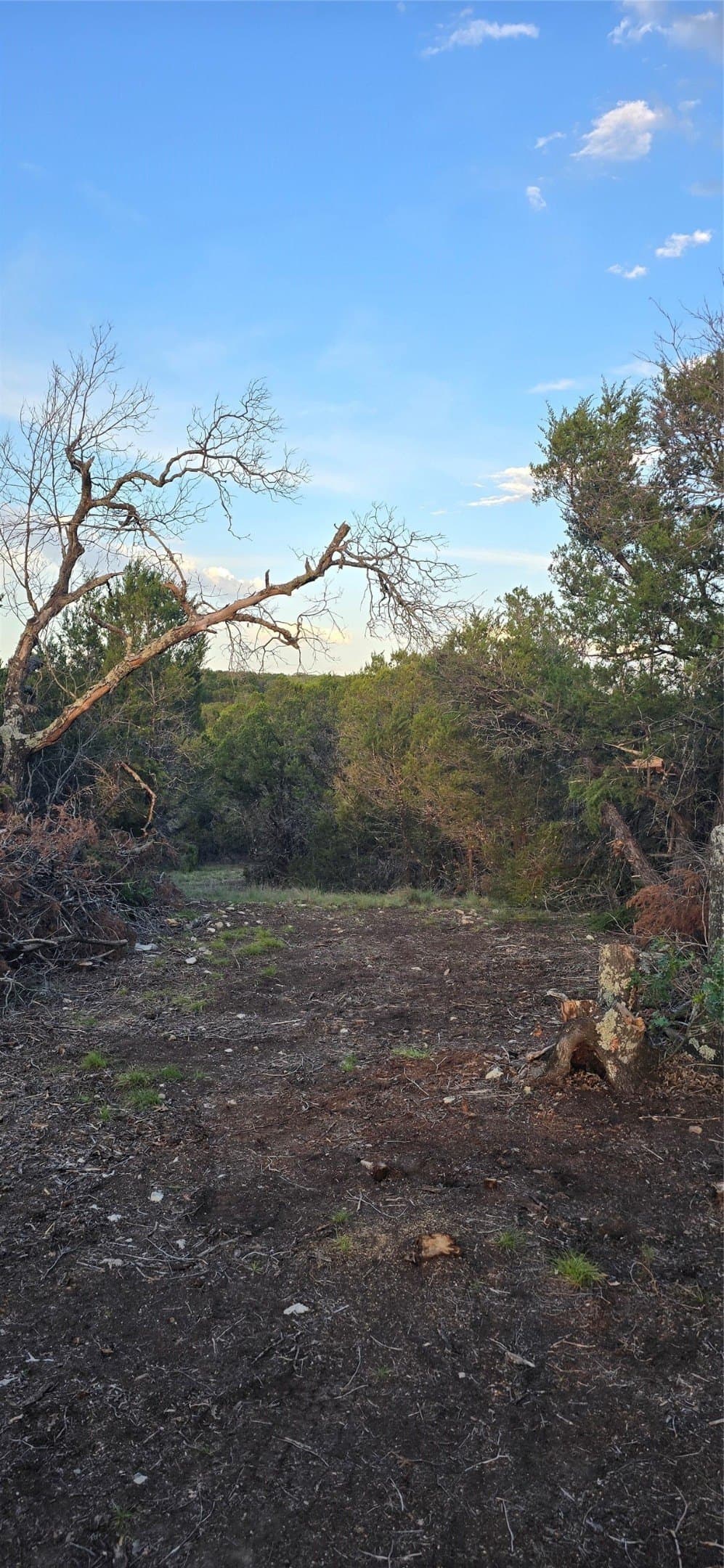 10.06 acres in Coryell County - photo 16