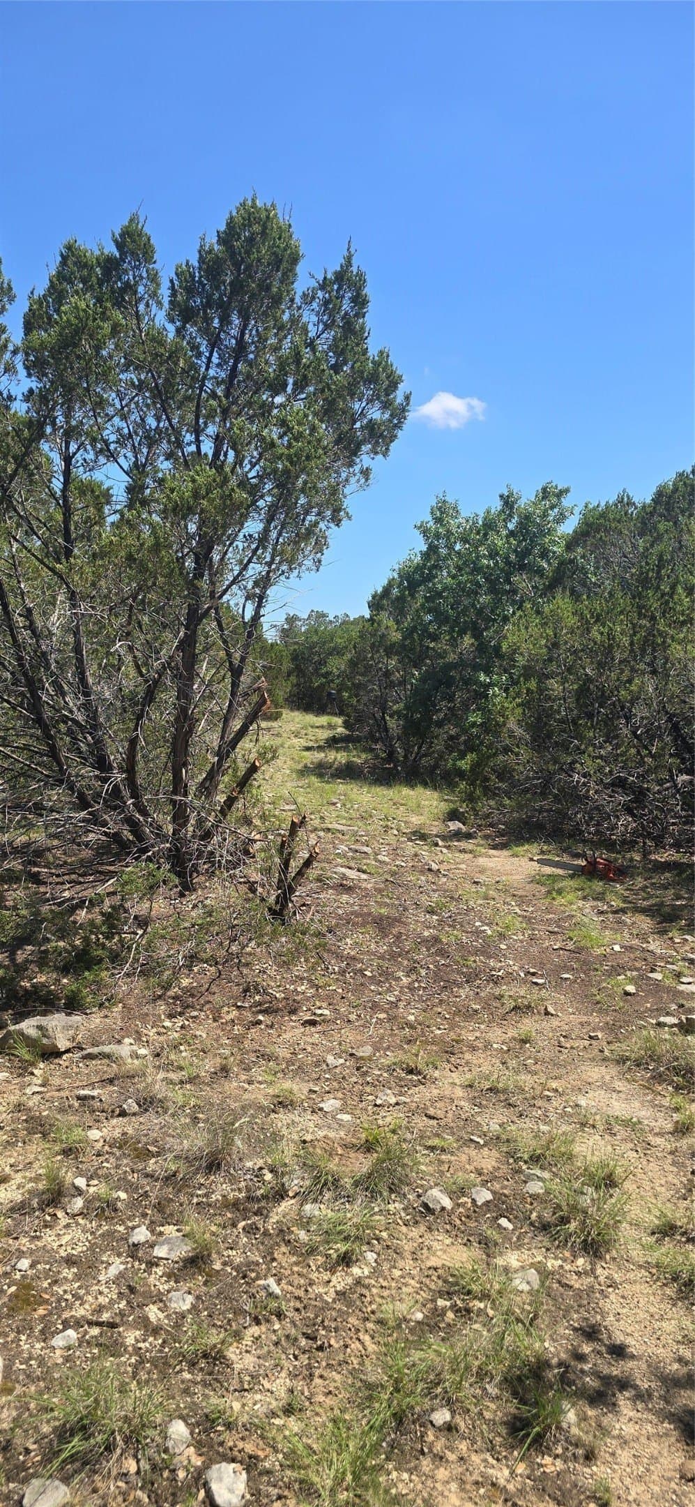 10.06 acres in Coryell County - photo 19