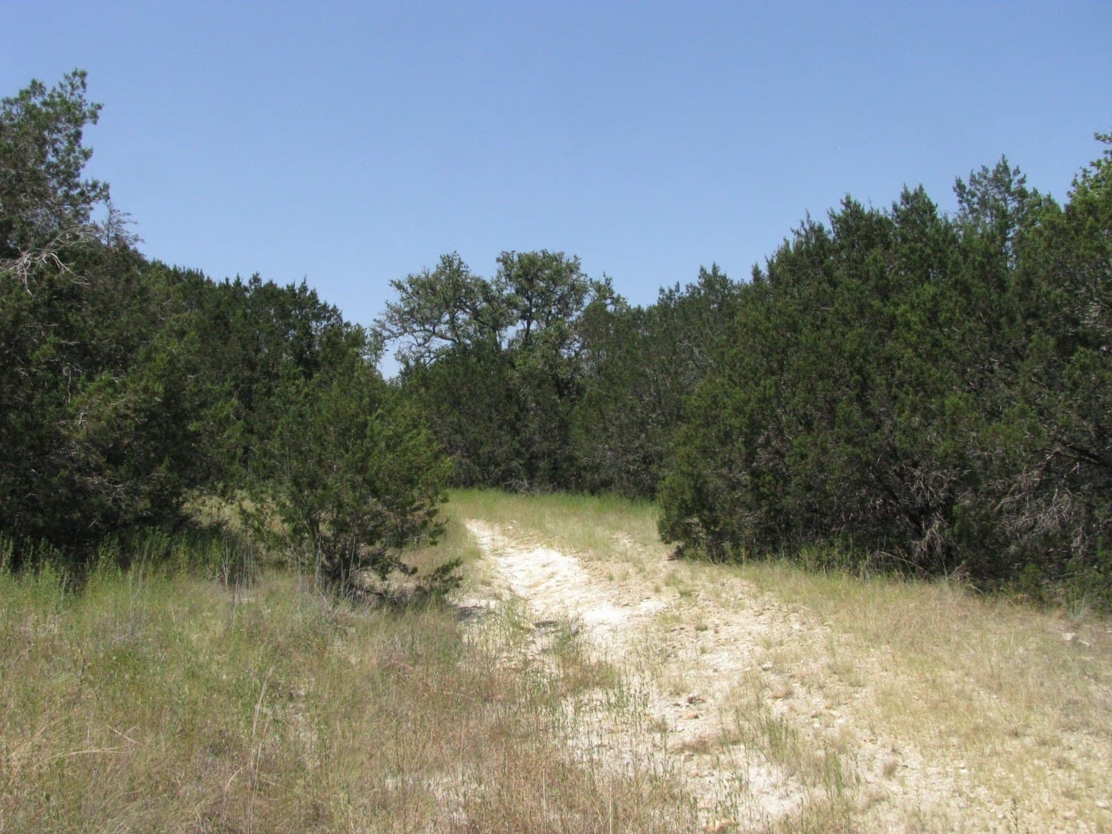 10.06 acres in Coryell County - photo 13