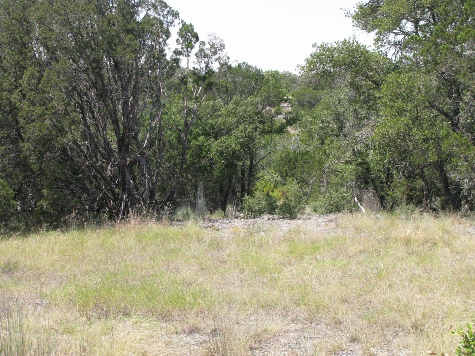10.06 acres in Coryell County featured view