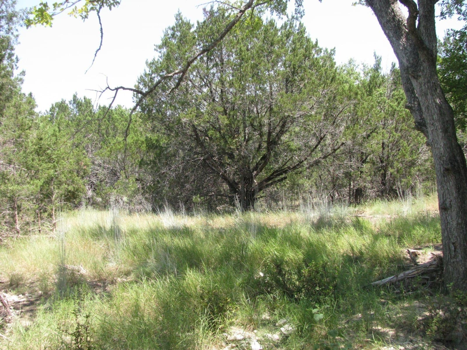 10.06 acres in Coryell County - photo 25