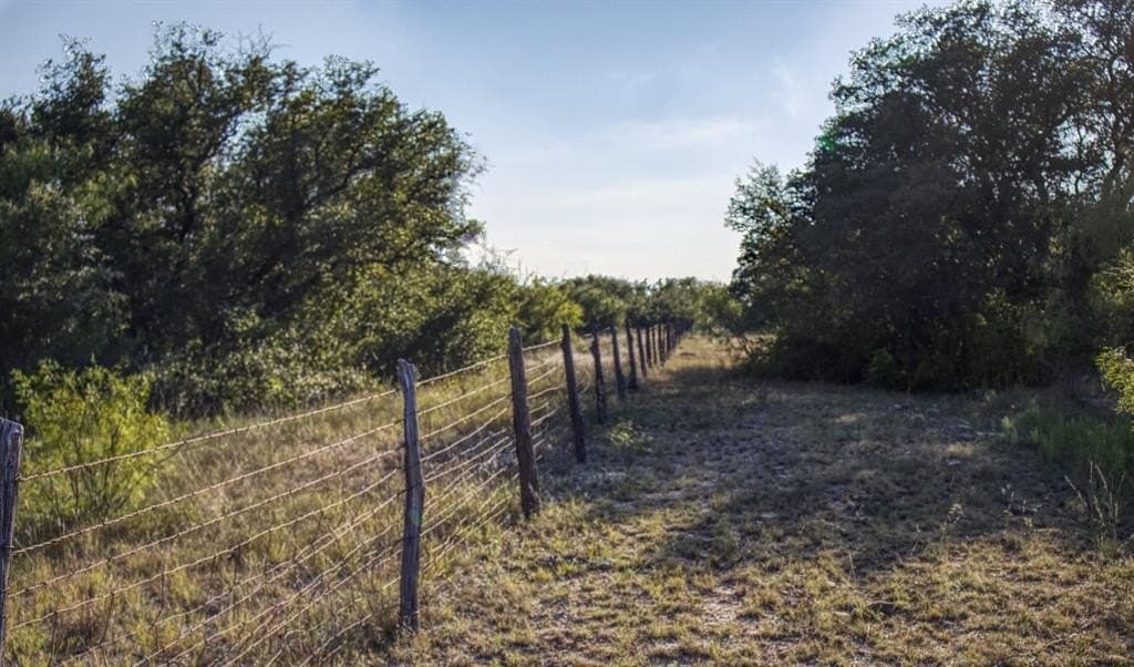 167 acres in Young County gallery image 3