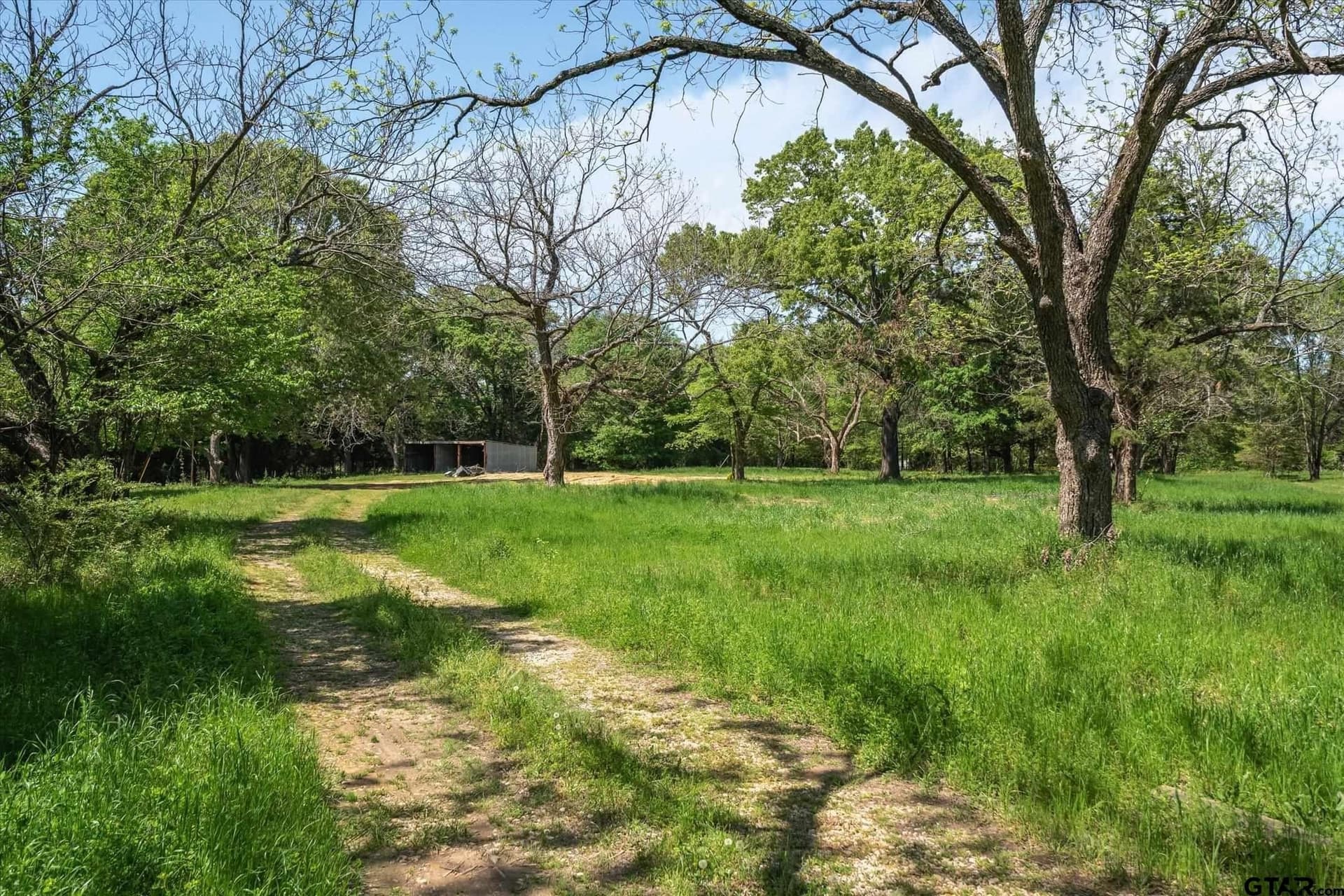 10 acres in Van Zandt County