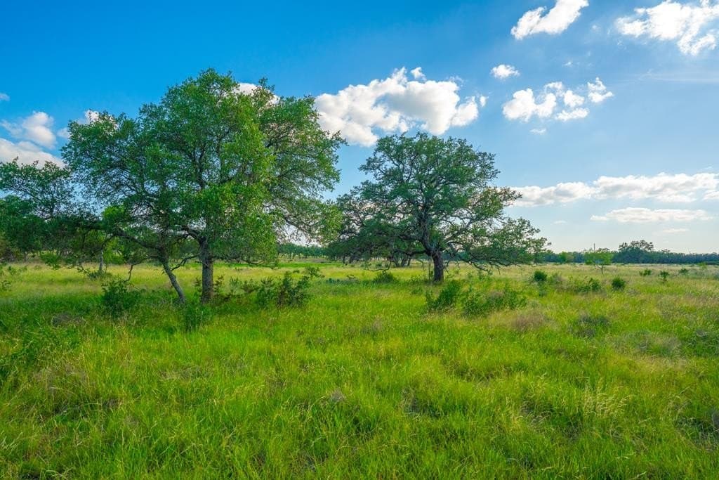 6.02 acres in Blanco County