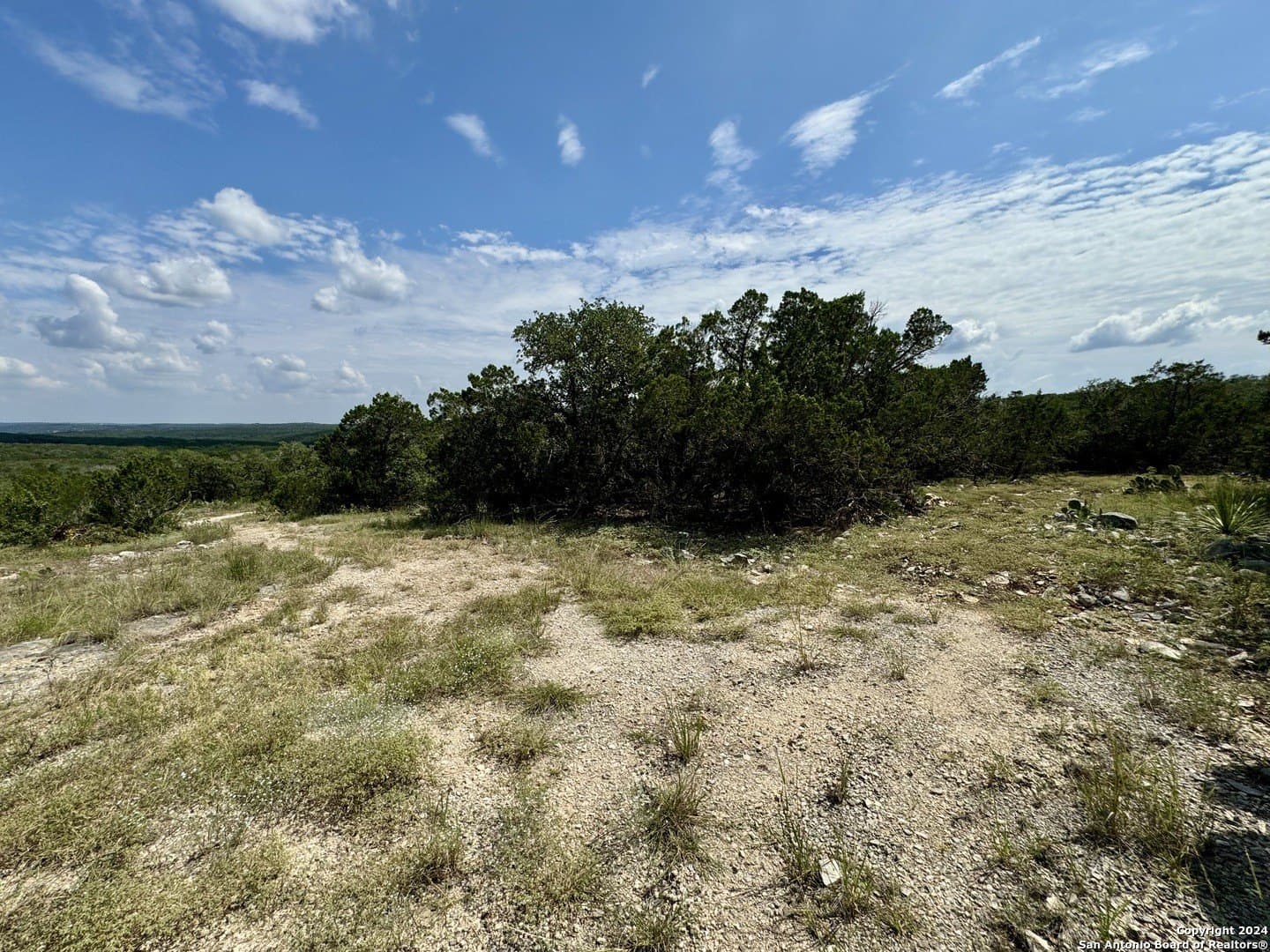 35.13 acres in Medina County - photo 19