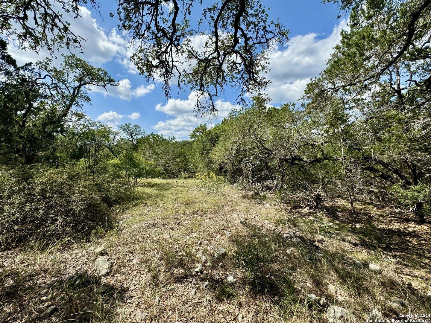 35.13 acres in Medina County - photo 8