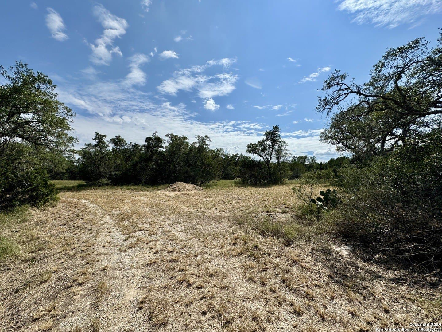 35.13 acres in Medina County - photo 31