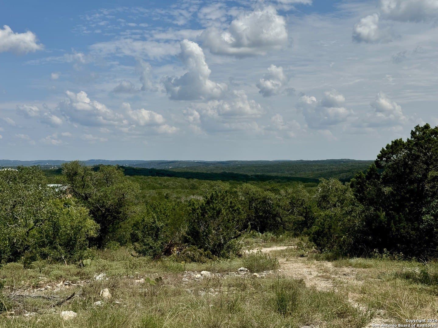 35.13 acres in Medina County - photo 22