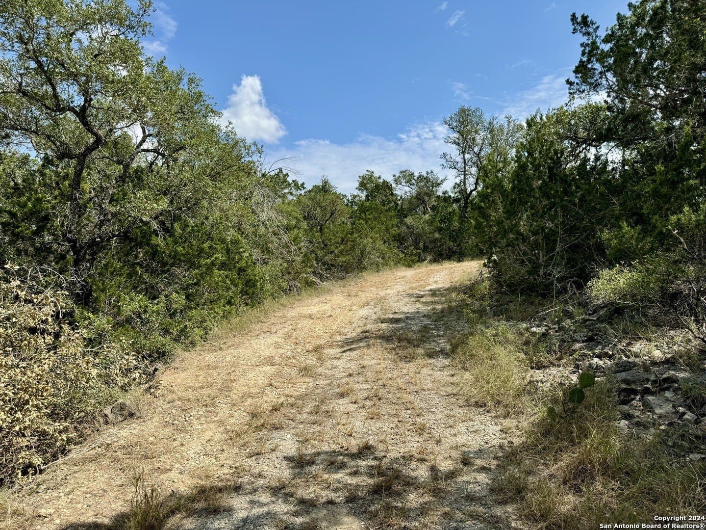 35.13 acres in Medina County - photo 29