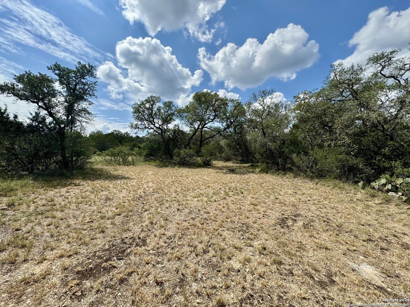 35.13 acres in Medina County gallery image 2