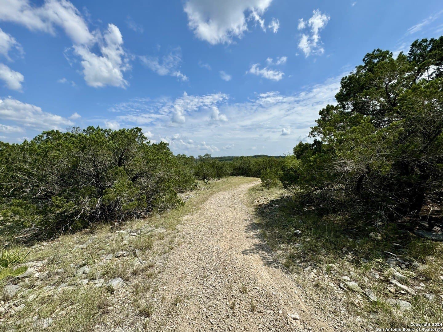 35.13 acres in Medina County - photo 14