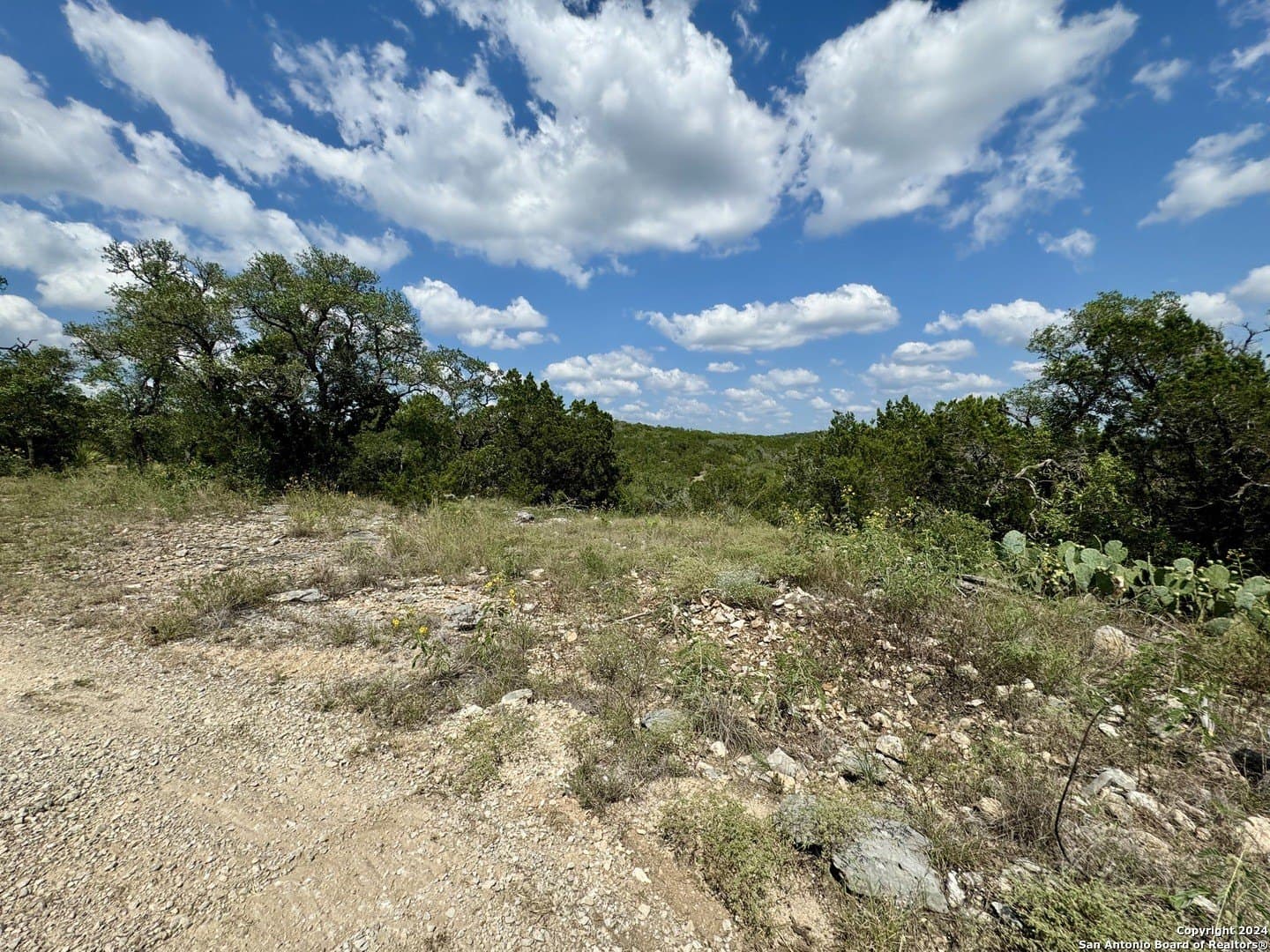 35.13 acres in Medina County - photo 17