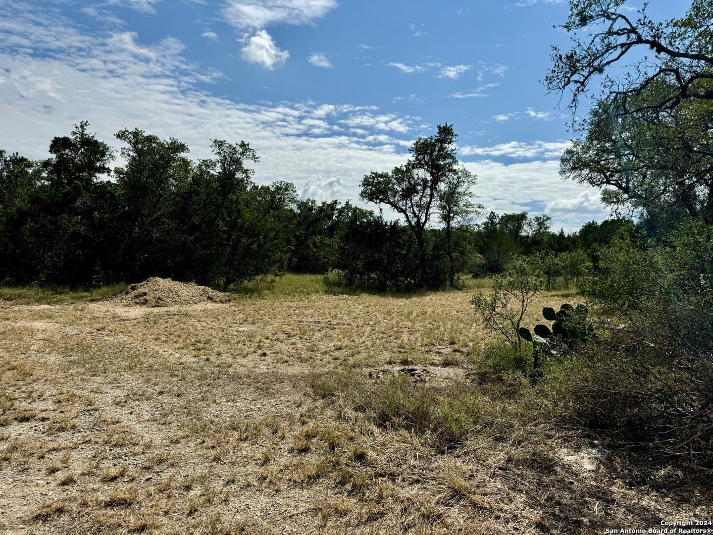 35.13 acres in Medina County - photo 30