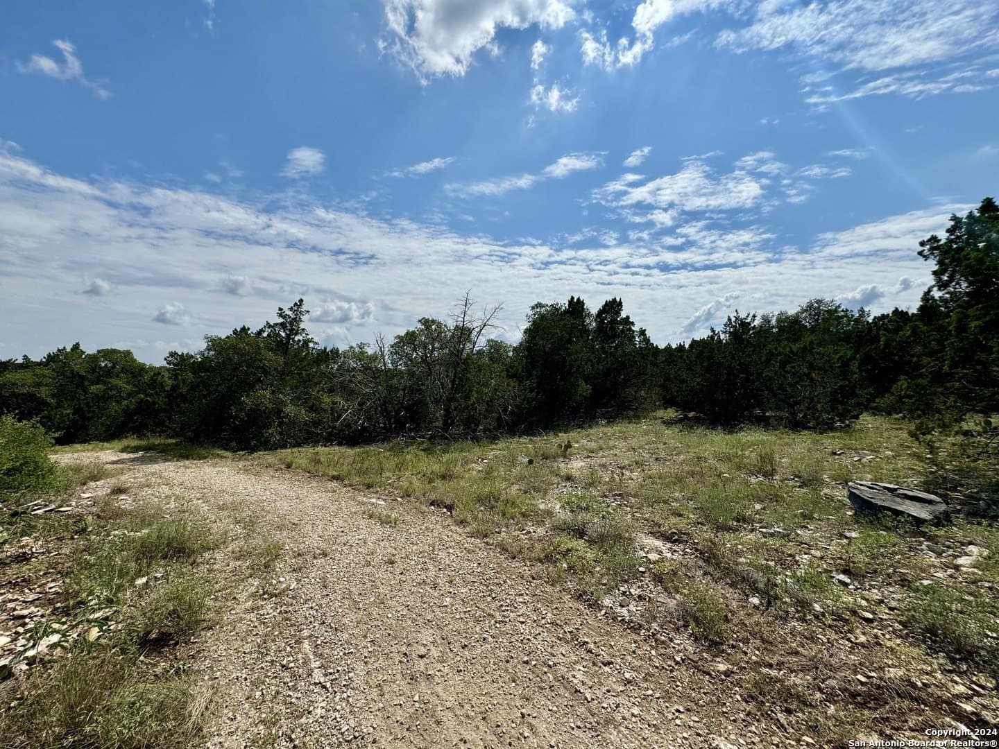 35.13 acres in Medina County - photo 16
