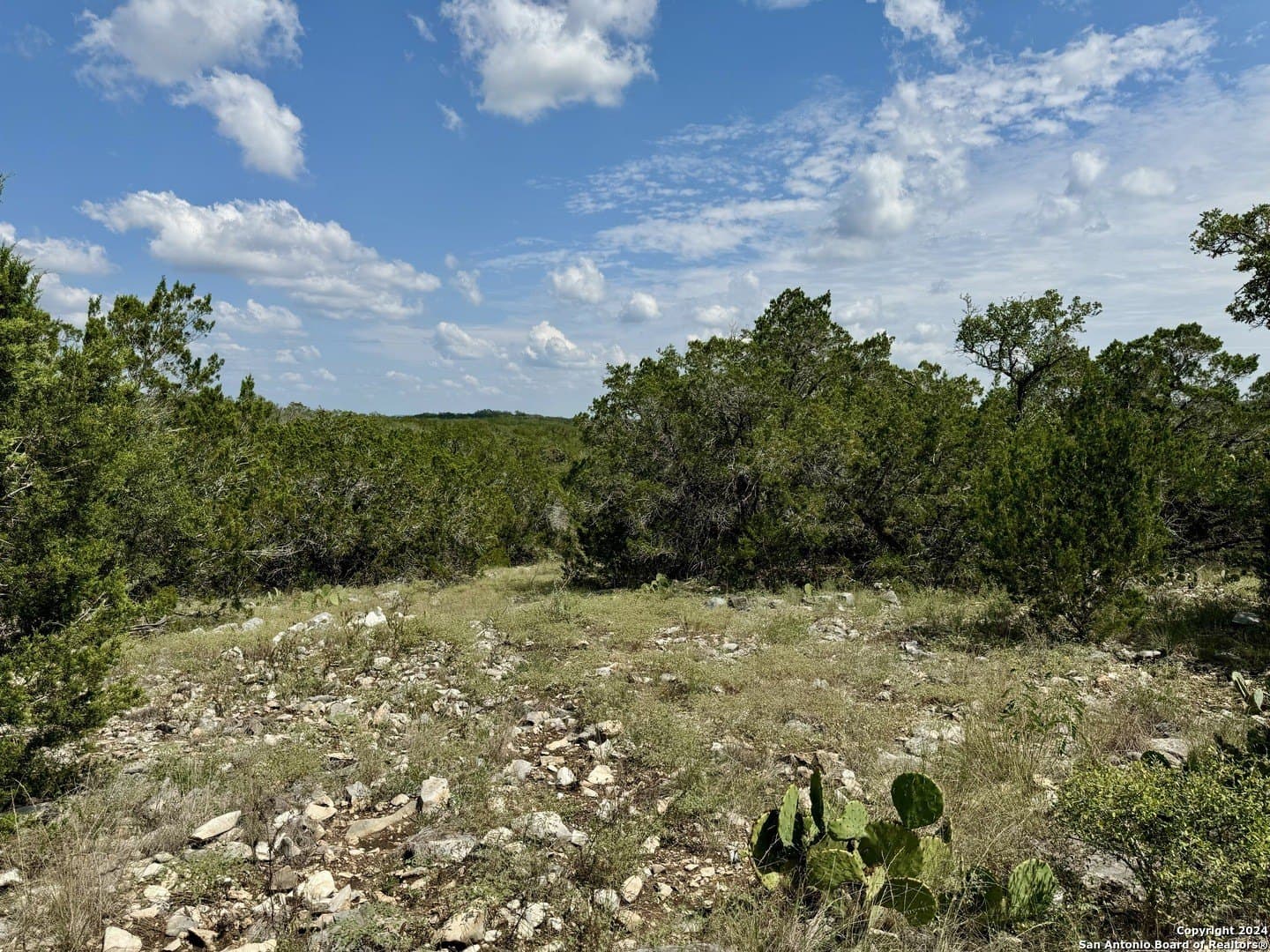 35.13 acres in Medina County - photo 11