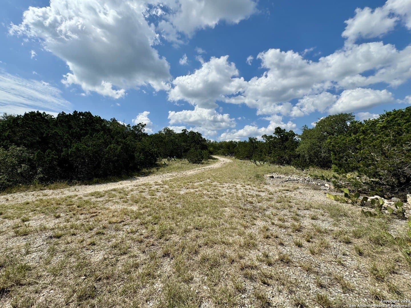 35.13 acres in Medina County - photo 12