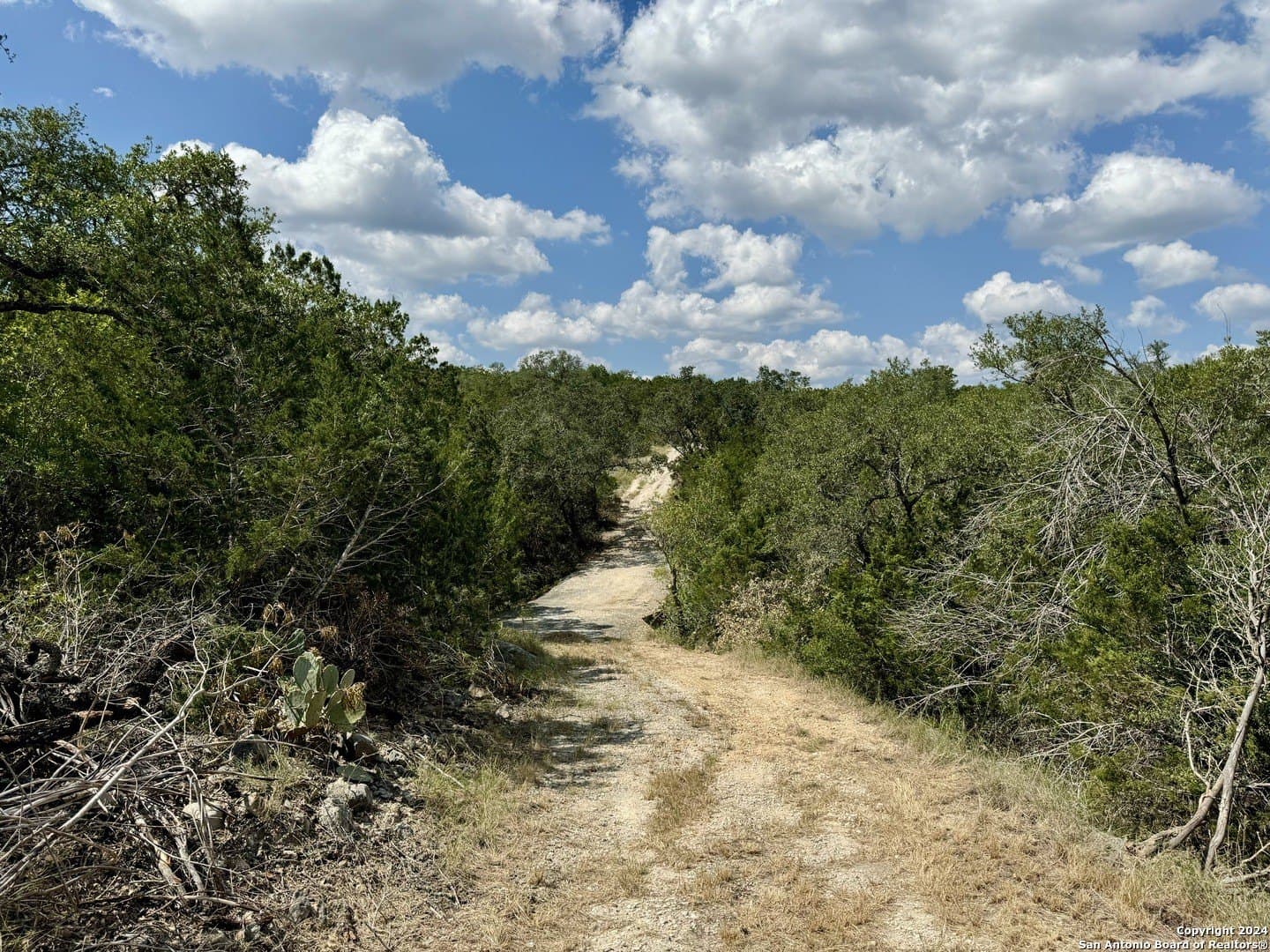 35.13 acres in Medina County - photo 9