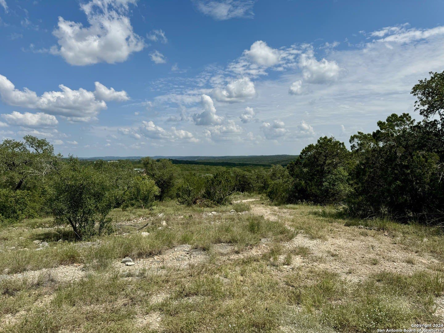 35.13 acres in Medina County - photo 21