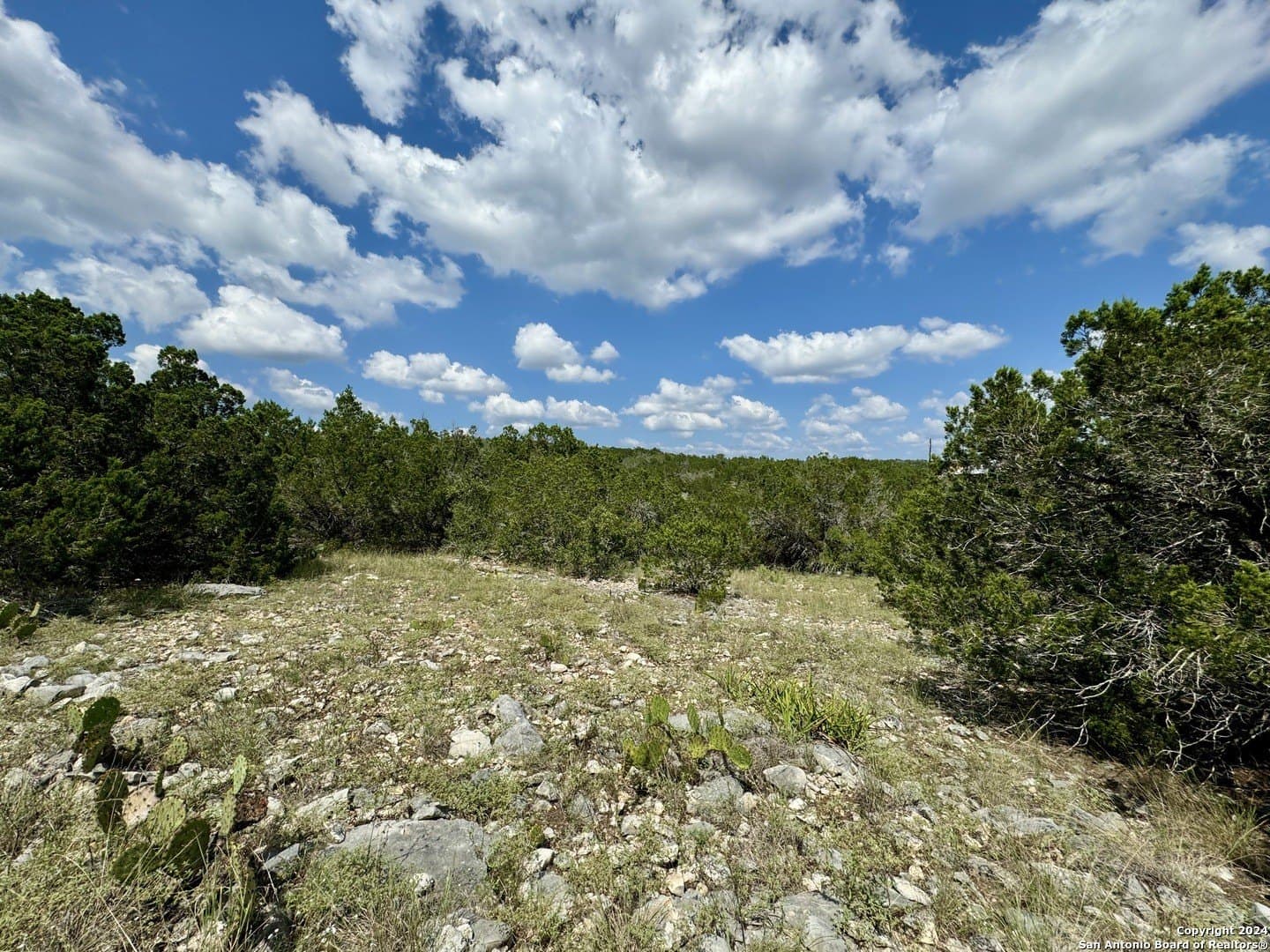 35.13 acres in Medina County - photo 13
