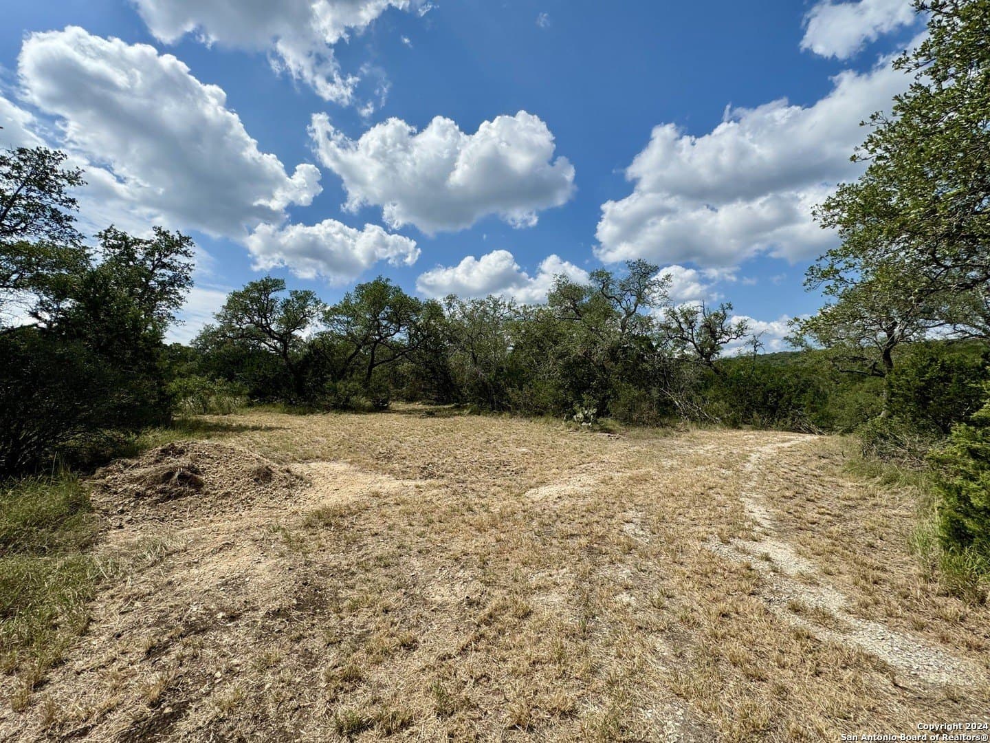 35.13 acres in Medina County featured view