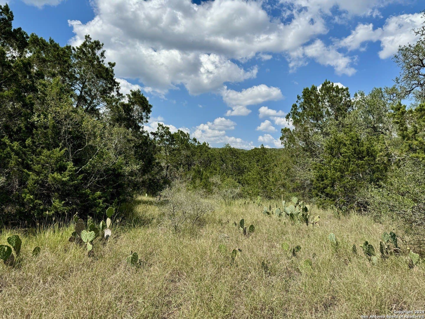 35.13 acres in Medina County - photo 7