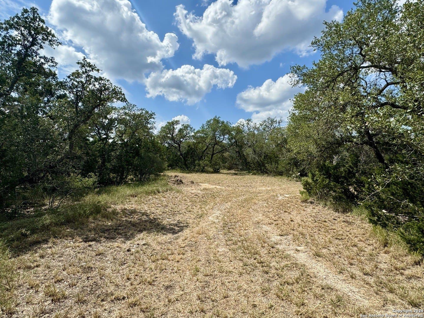 35.13 acres in Medina County gallery image 4
