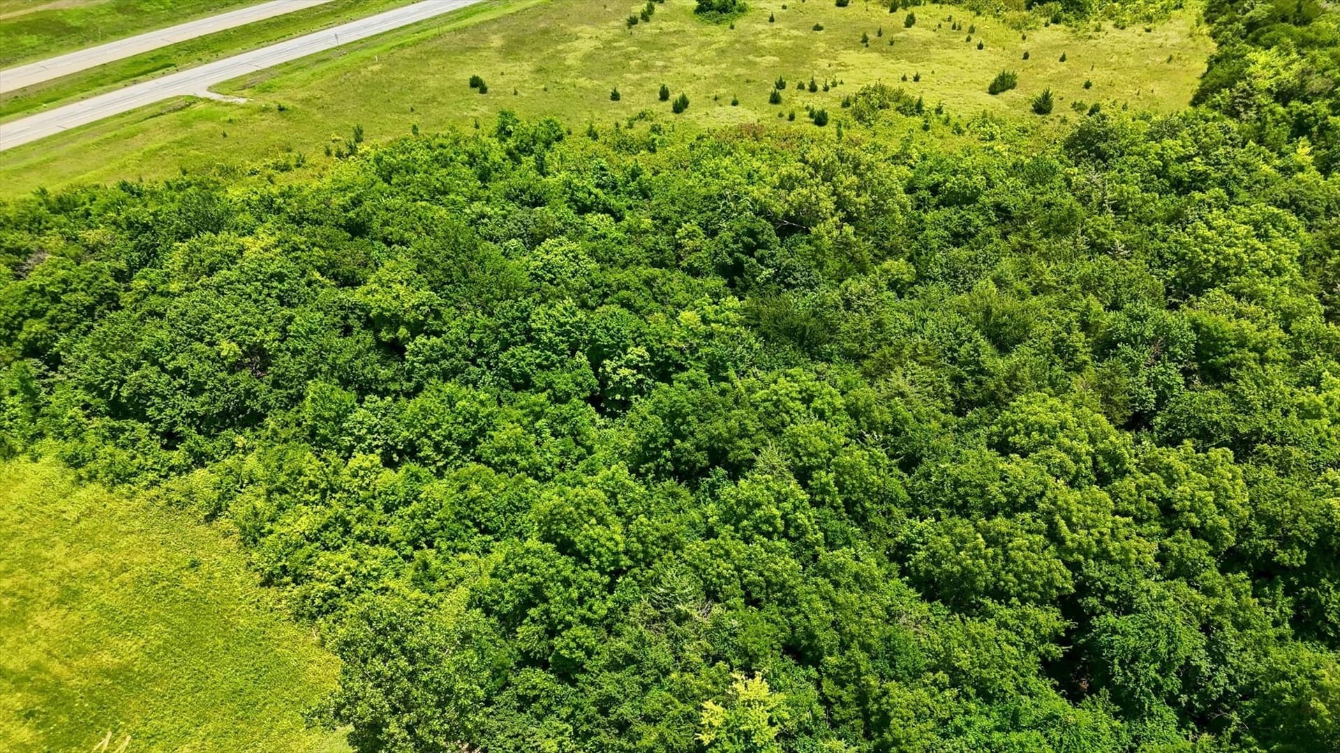 14.01 acres in Fannin County - photo 15