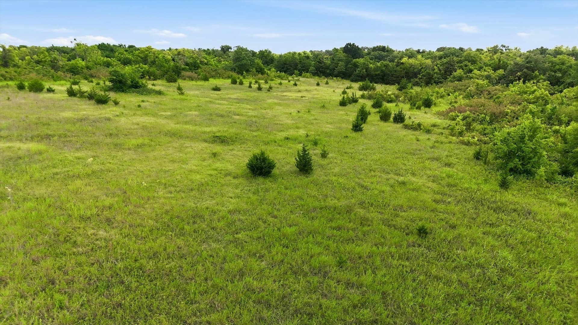 14.01 acres in Fannin County - photo 23