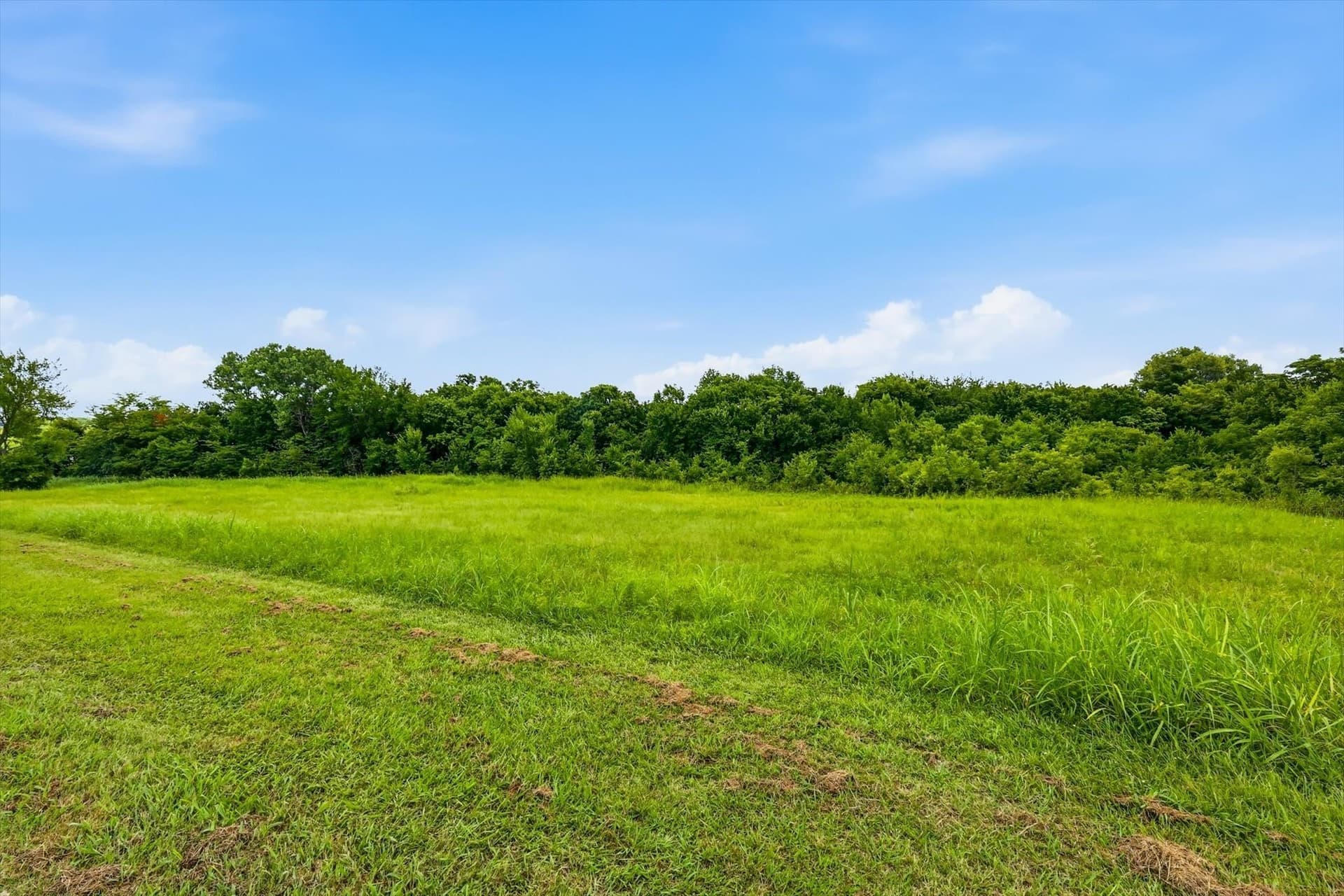 14.01 acres in Fannin County gallery image 2