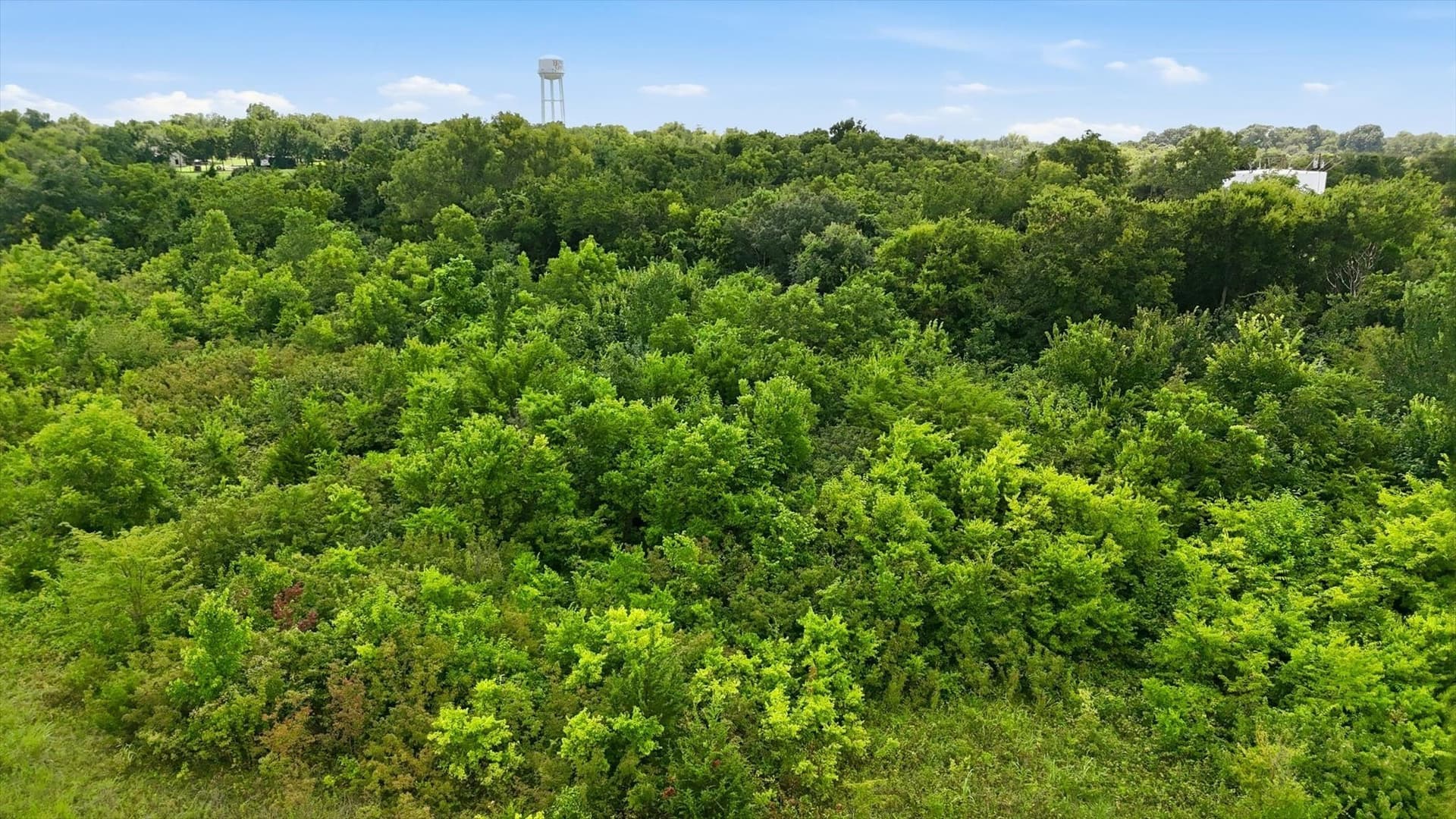 14.01 acres in Fannin County - photo 24