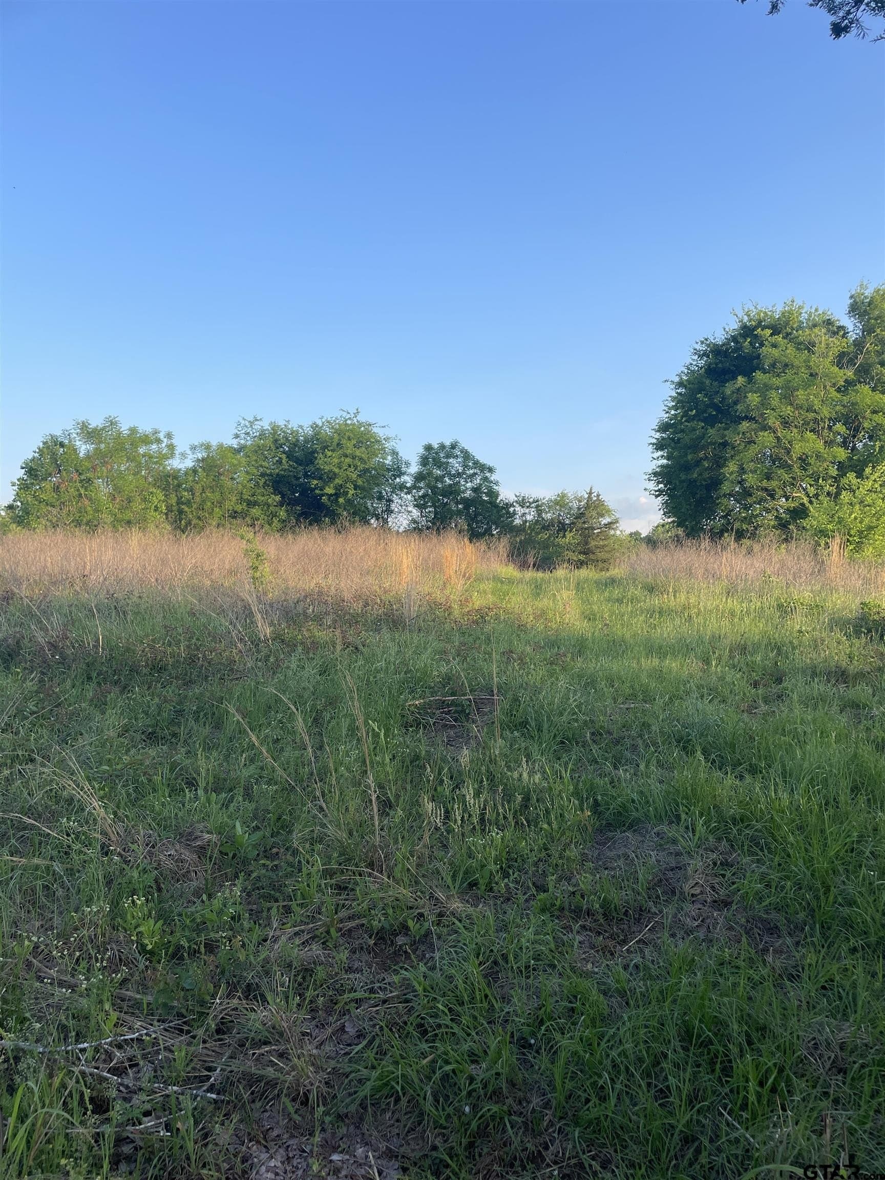 1 acres in Camp County gallery image 4