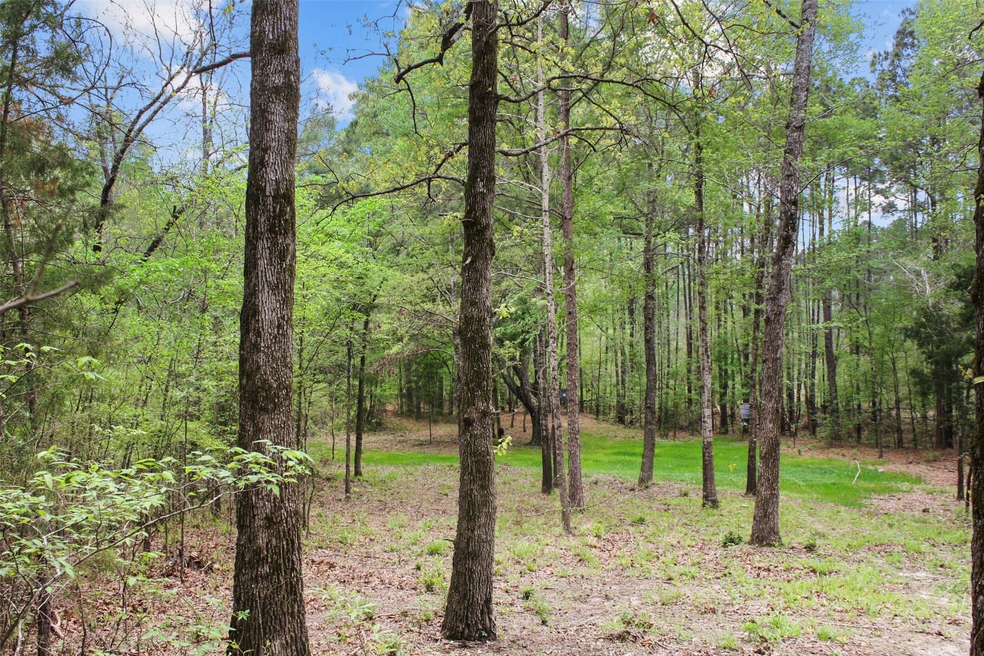 17 acres in Van Zandt County - photo 29