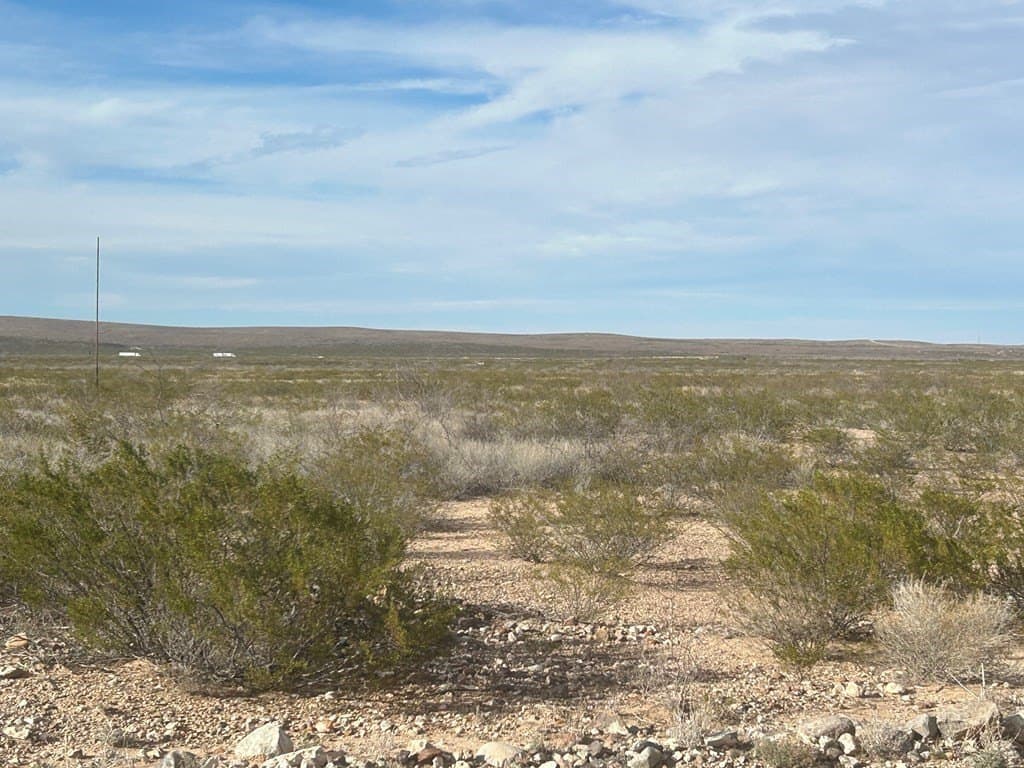 100.02 acres in Reeves County featured view