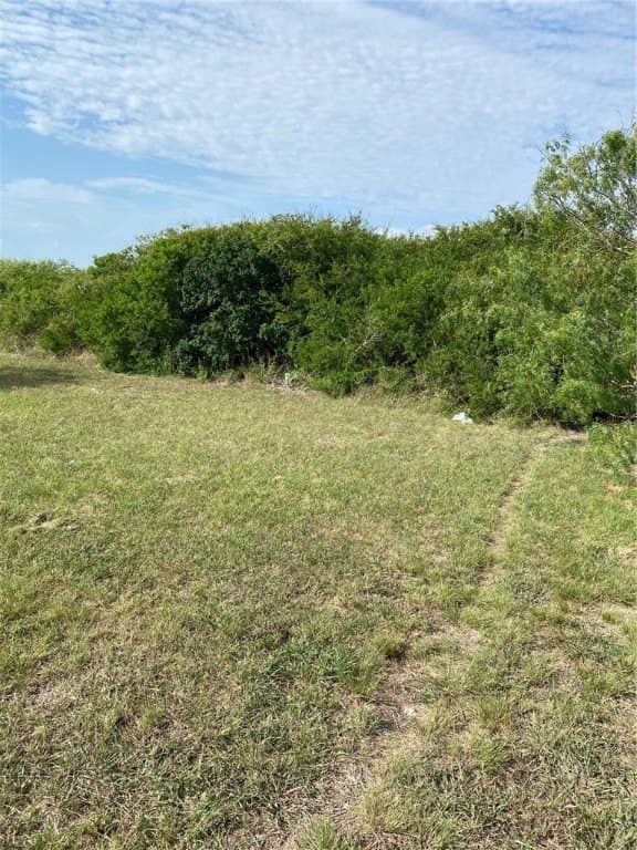 0.44 acres in Refugio County gallery image 4