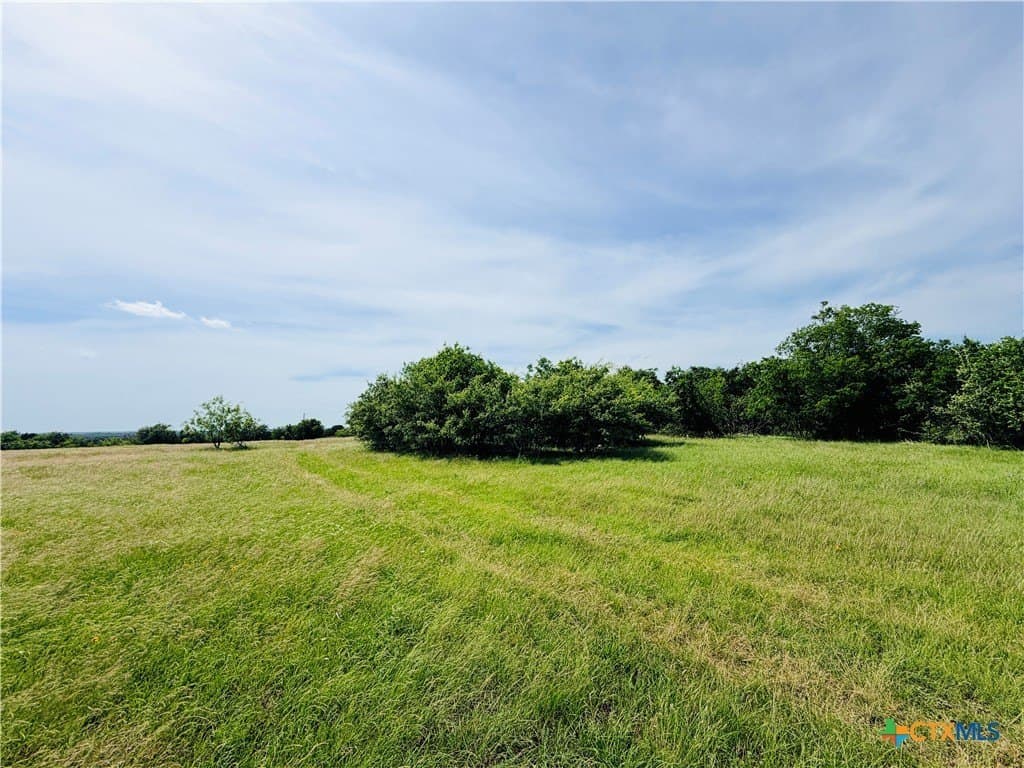 20.36 acres in Coryell County gallery image 2