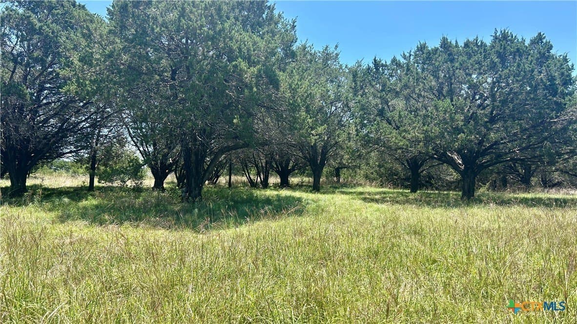 20.36 acres in Coryell County - photo 16